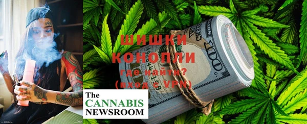 ГАЛЛЮЦИНОГЕННЫЕ ГРИБЫ Коряжма
