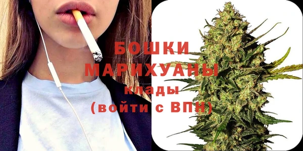 ГАЛЛЮЦИНОГЕННЫЕ ГРИБЫ Коряжма