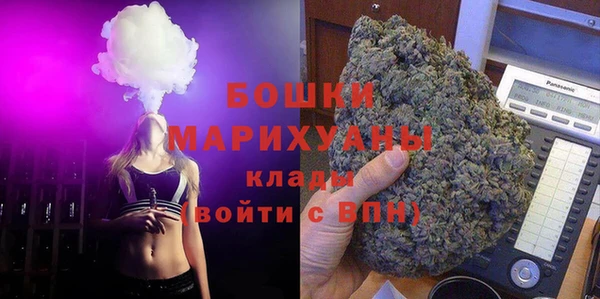 шишки Кодинск