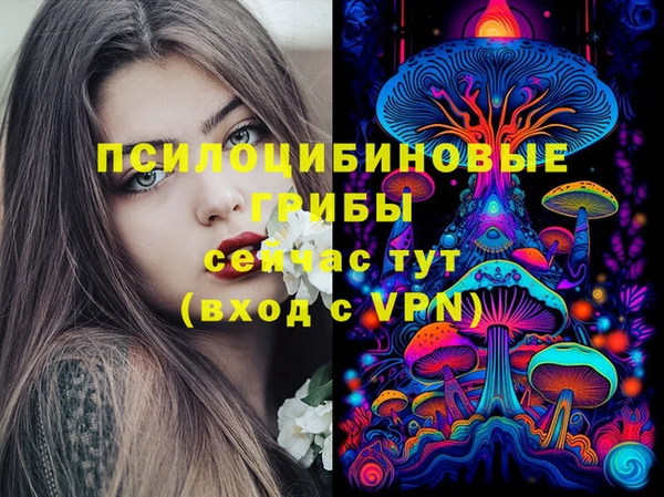 шишки Кодинск