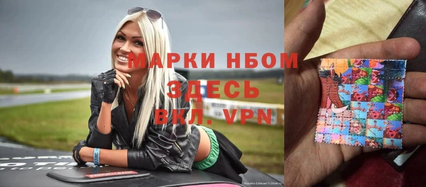 шишки Кодинск