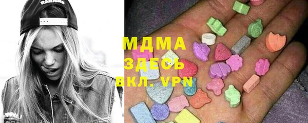 шишки Кодинск